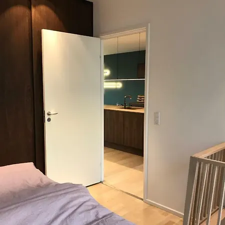 Exclusive Top Modern In Harbor Area In Cph Apartment Copenhagen